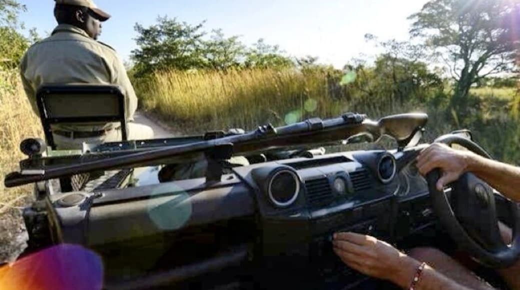 Our guides at Sabi Sabi Earth Lodge did a fantastic job taking care of us, finding the big 5, and did not have to fire one shot ... at us or the wildlife.