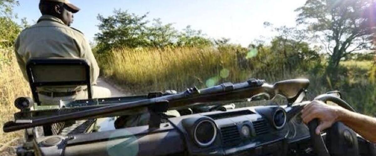 Our guides at Sabi Sabi Earth Lodge did a fantastic job taking care of us, finding the big 5, and did not have to fire one shot ... at us or the wildlife.