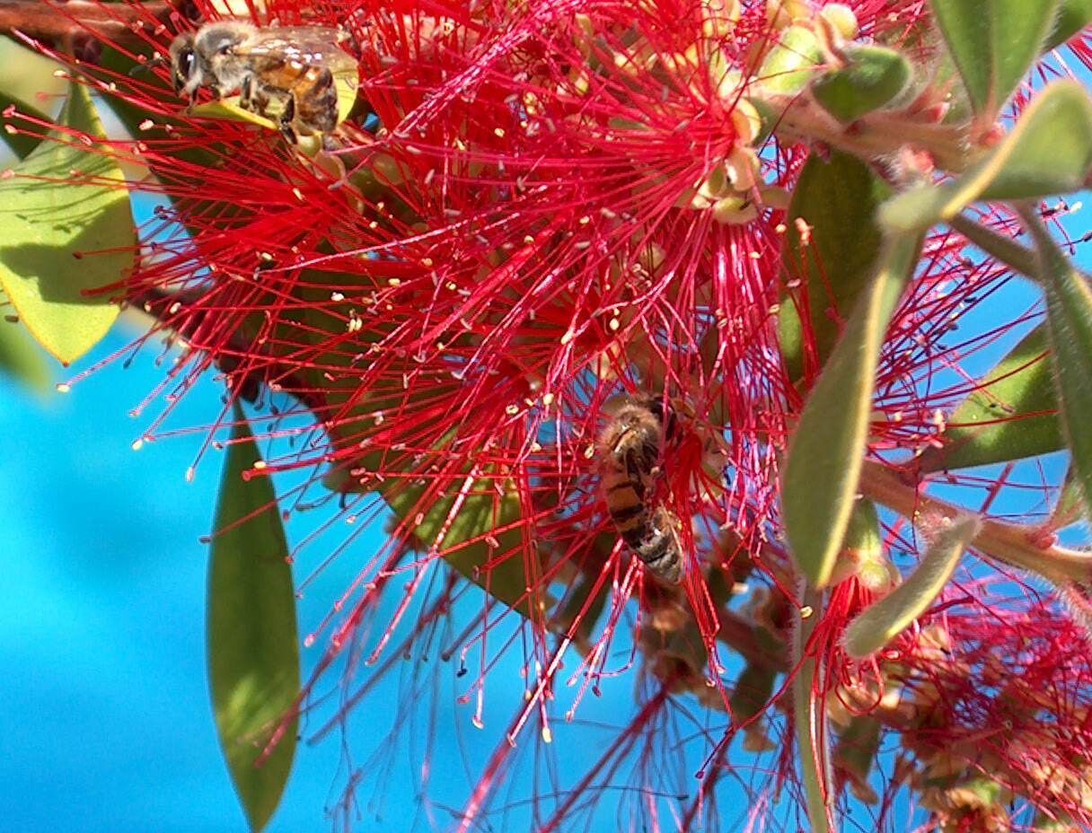 @ the Club Smith Pool & Cabana