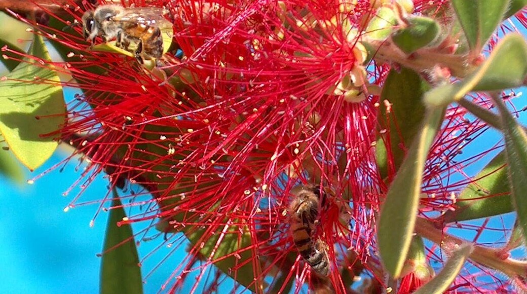 @ the Club Smith Pool & Cabana