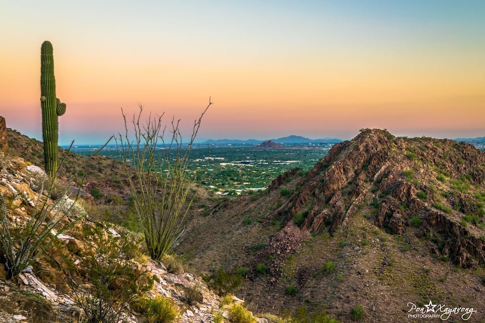 A cactus, rocky terrain, and a distant cityscape at sunset.