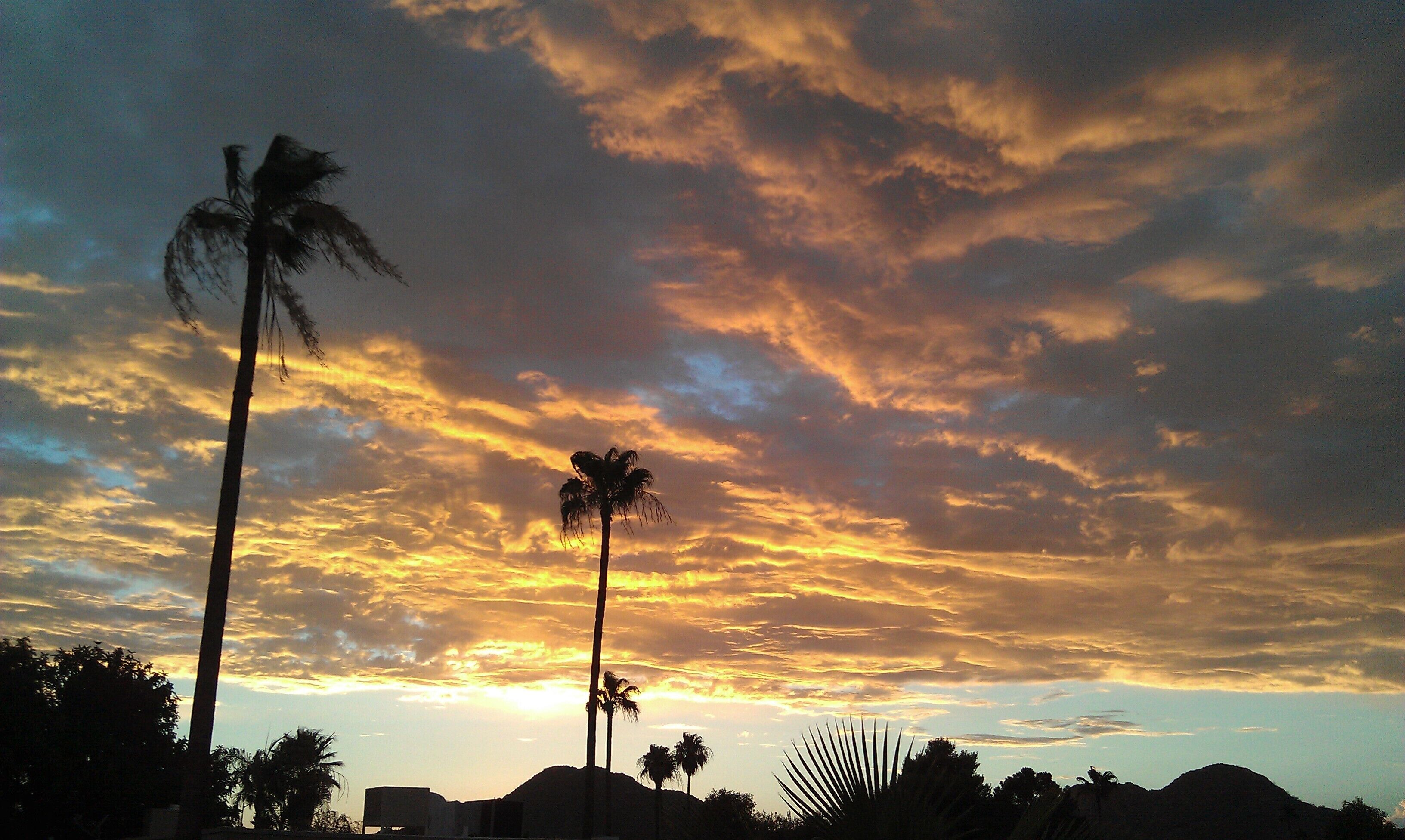 Typical Arizona sunset. #lifeatexpedia 