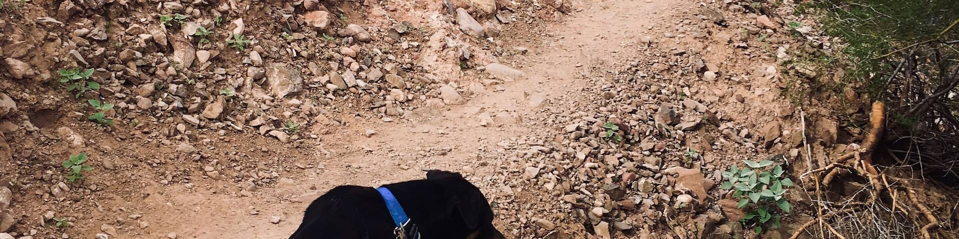 Don’t let yesterday take up too much of today.