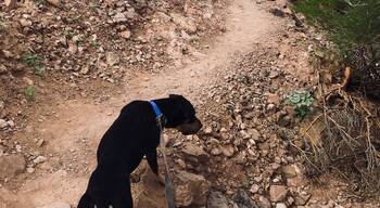 Don’t let yesterday take up too much of today.