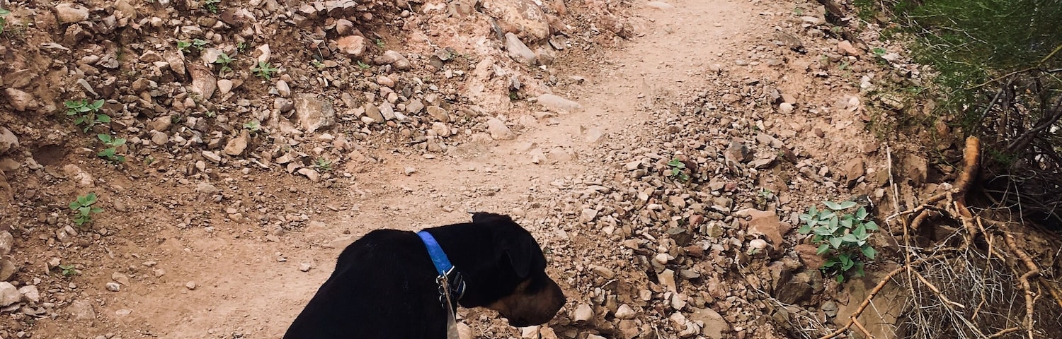 Don’t let yesterday take up too much of today.