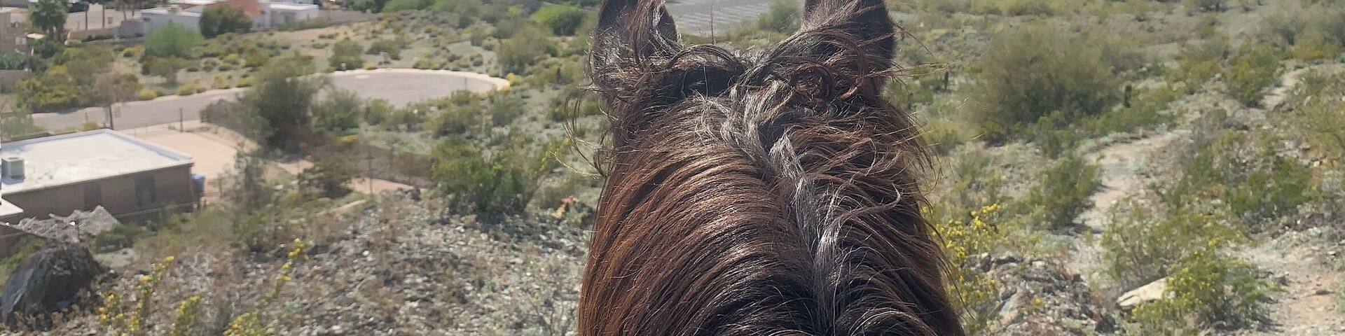 One way to get the most out of life is to look upon it as an adventure.