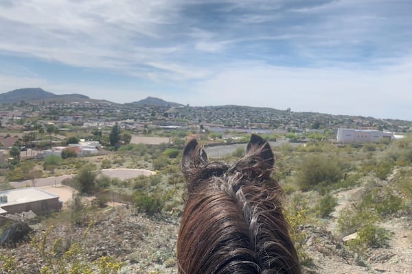 One way to get the most out of life is to look upon it as an adventure.