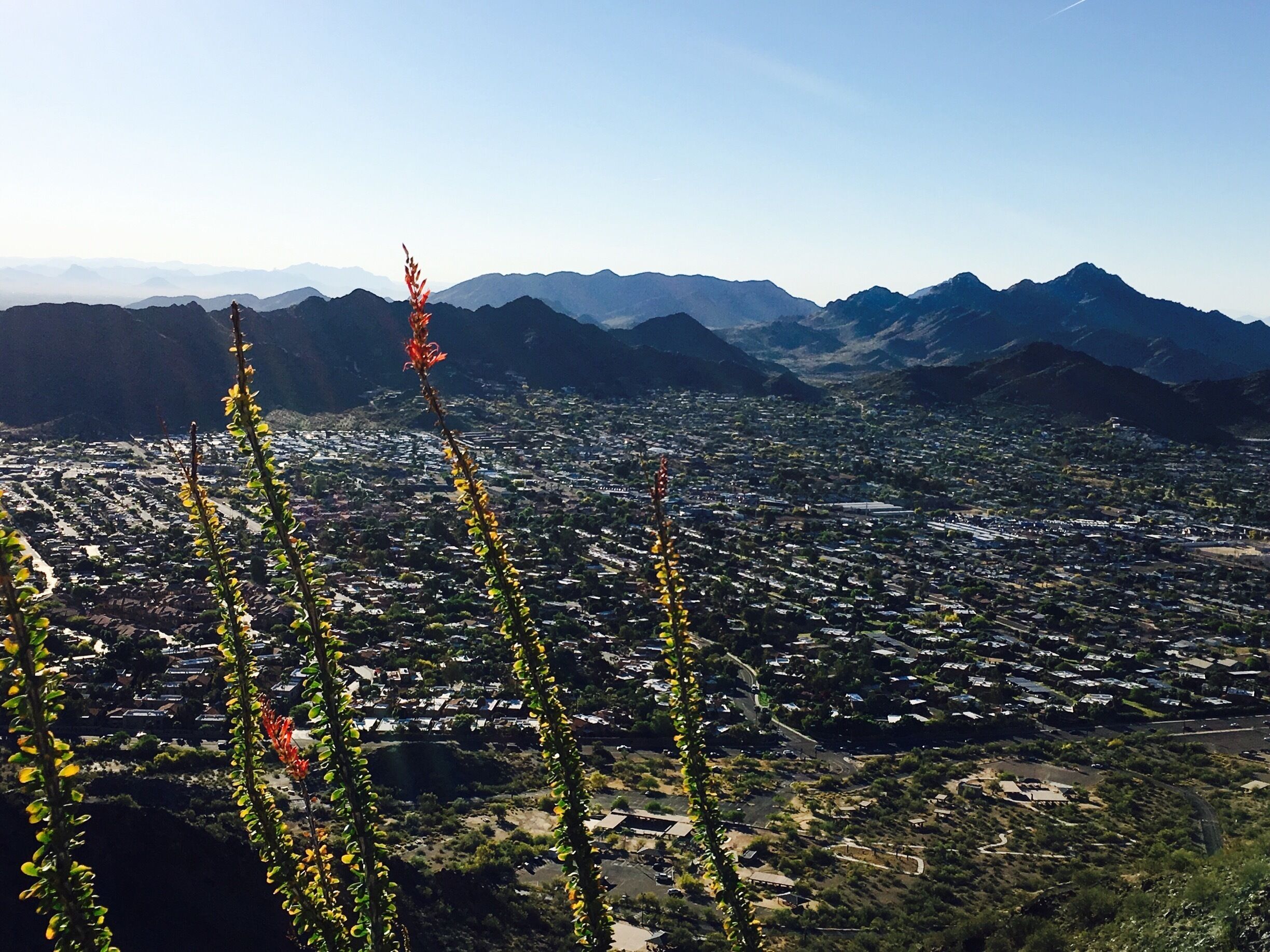 Easy hike right in Phoenix.