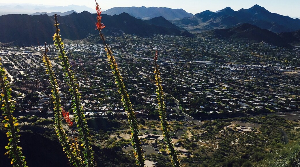 Easy hike right in Phoenix.