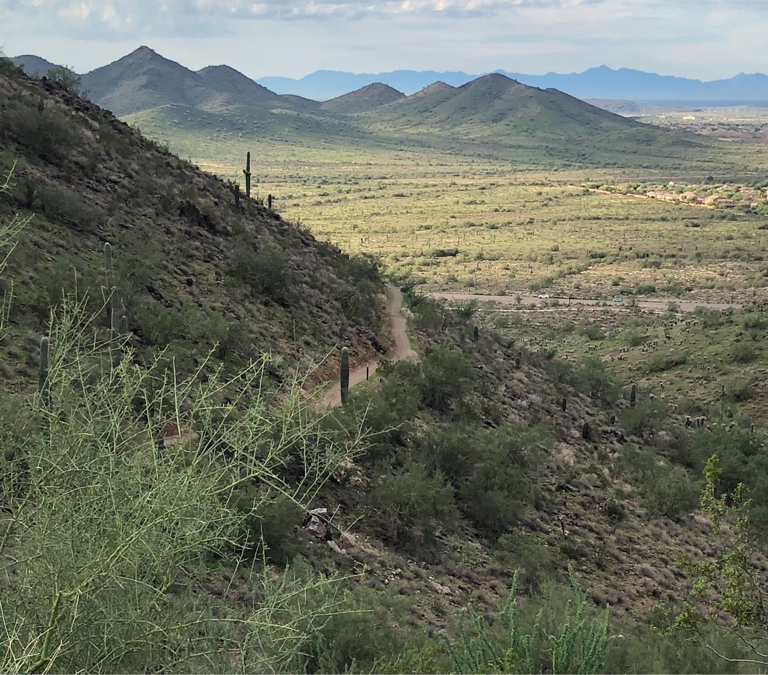 Hiking after lots of rain the desert is a beautiful green.