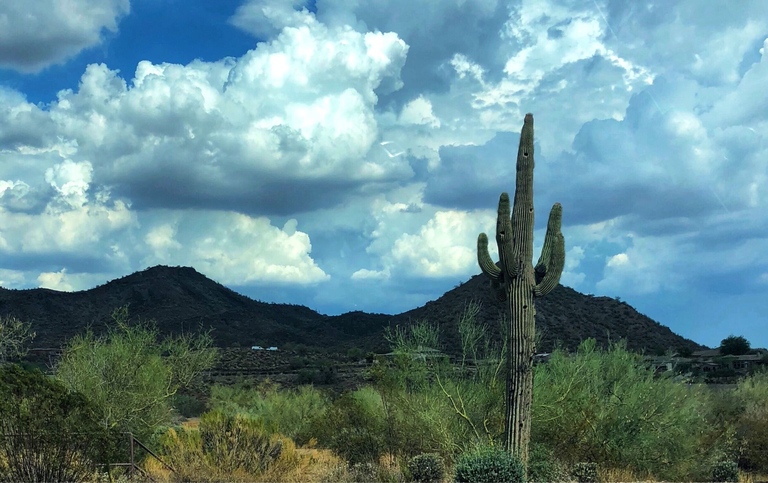 Monsoon weather coming 