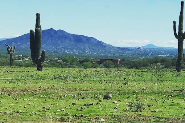 A normal brown desert is GREEN with record-breaking amounts of rain in October. #GreatOutdoors