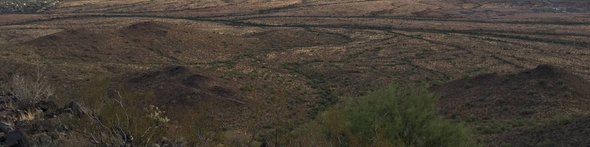 View from Dixie Mountain.