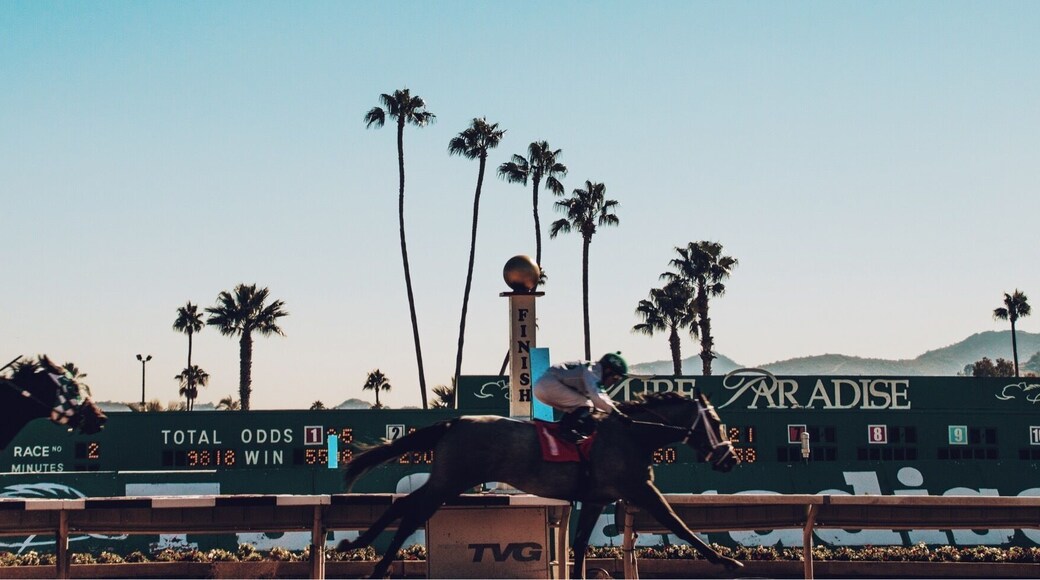 Come bet on horses or just witness something different for just a $2 entry fee.