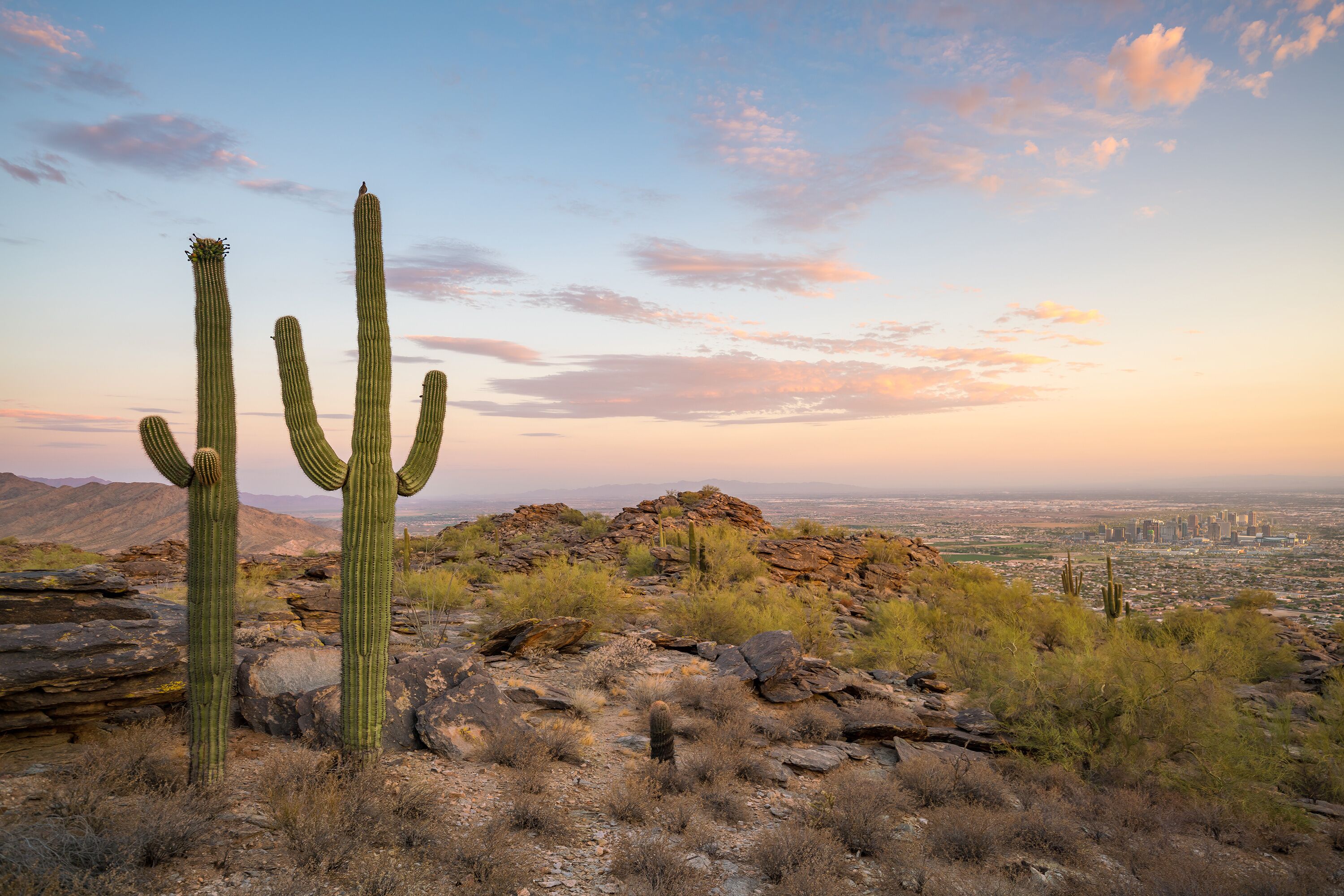Maricopa County