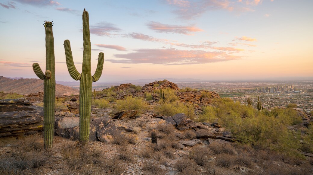 Maricopa County