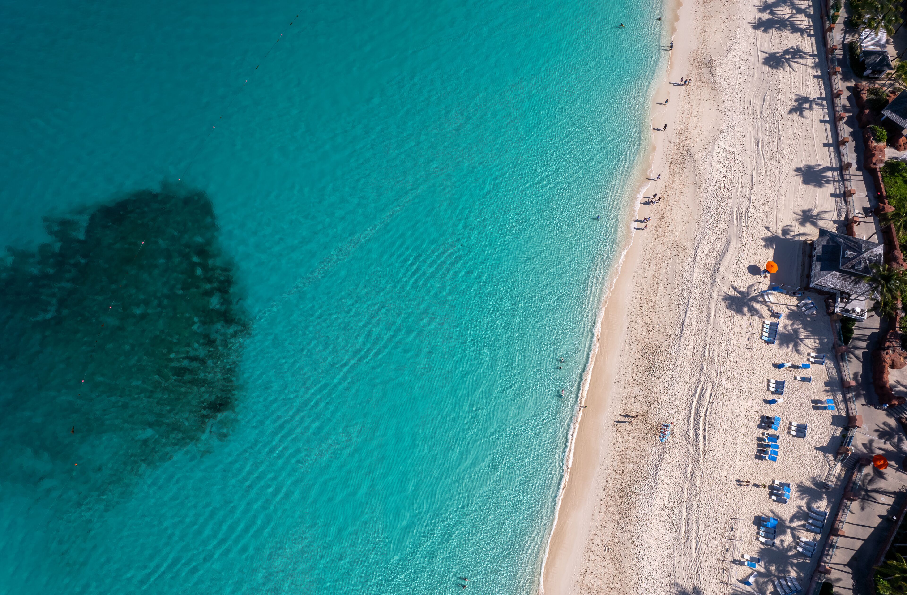 Una playa turquesa con agua cristalina, una orilla de arena y una fila de sombrillas y sillas de playa.