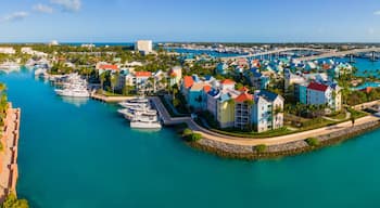 A marina with boats, a bridge, and colorful buildings.