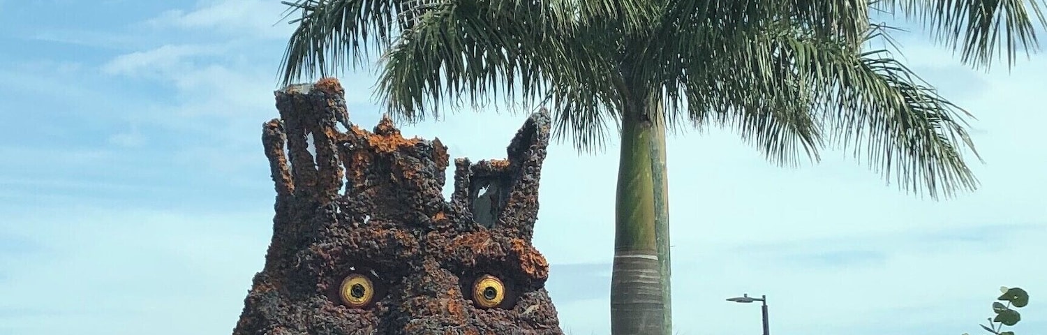 Always something to see in this town.