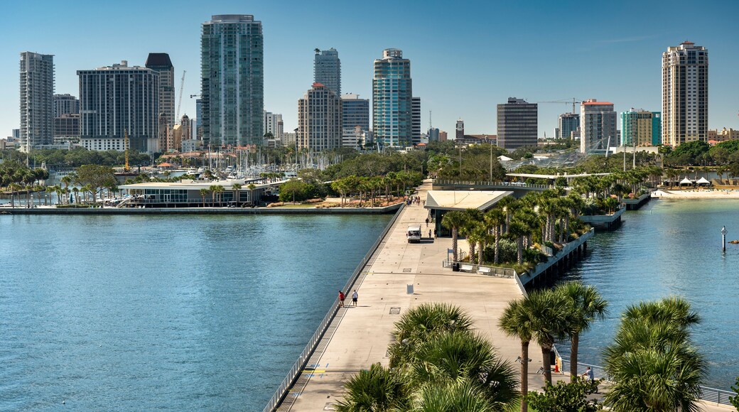 Condado de Pinellas