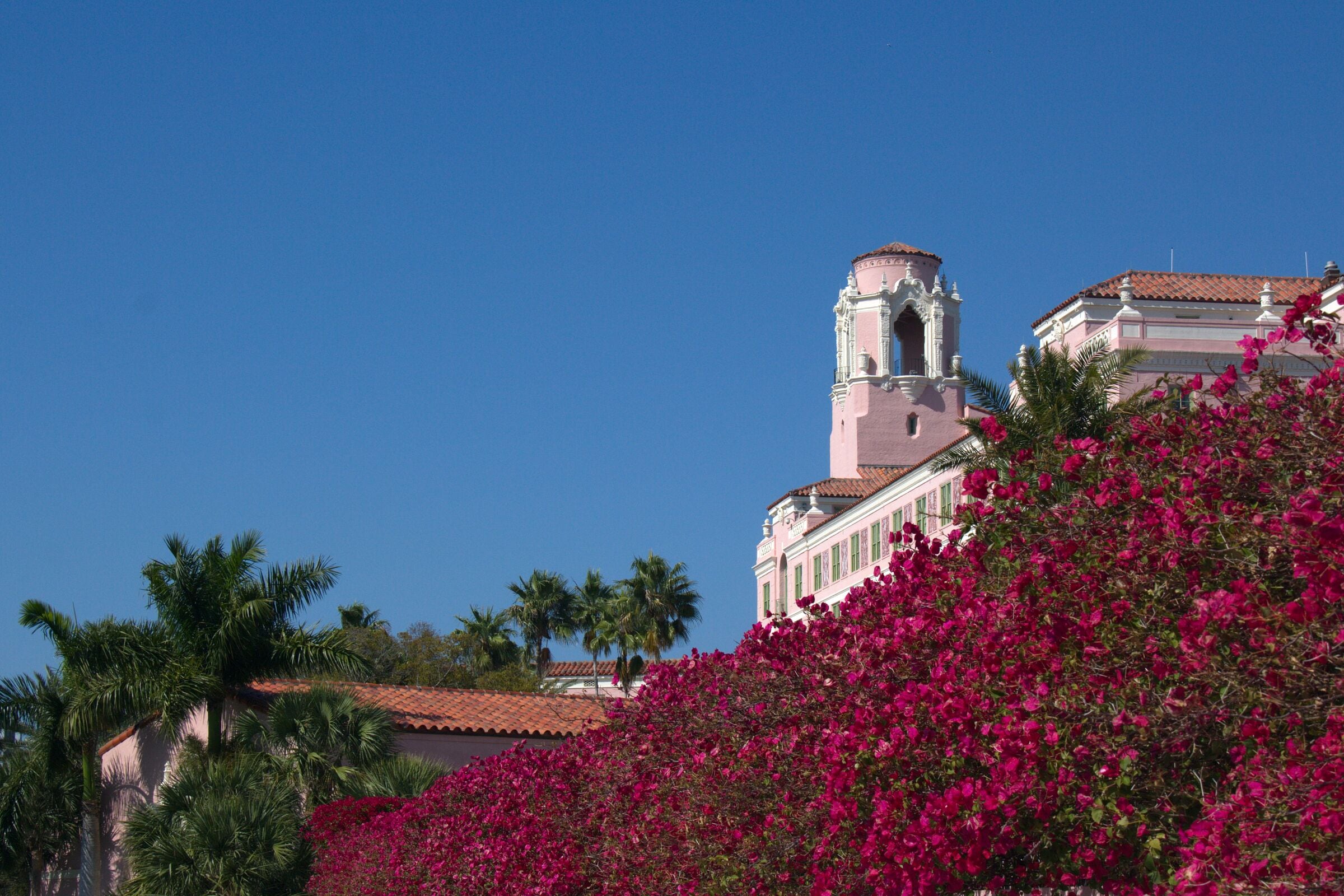 500px Photo ID: 103028605 - Beautifu Hotel Vinoy in St Petersburg (Florida)