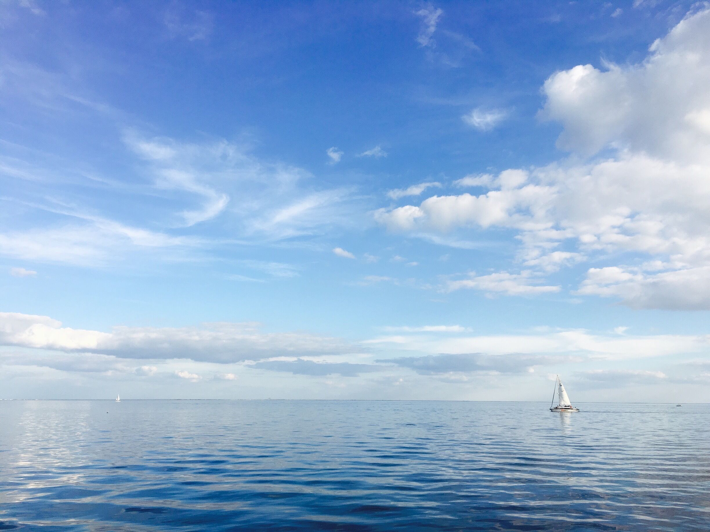 North Shore Park in downtown St Pete - today we saw a dolphin and in the past we have seen manatees as well - various events and concerts throughout the year/exercise paths/tennis courts/swimming complex/beach/kids playground and this beautiful view means there is something for everyone to enjoy here #endlesssummer #waterlust #AquaTrove
