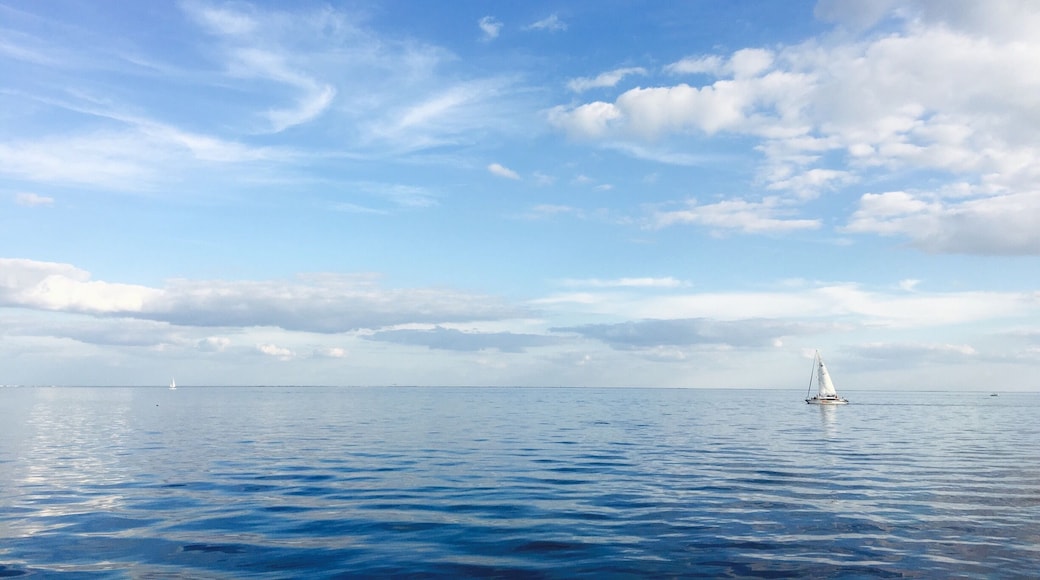 North Shore Park in downtown St Pete - today we saw a dolphin and in the past we have seen manatees as well - various events and concerts throughout the year/exercise paths/tennis courts/swimming complex/beach/kids playground and this beautiful view means there is something for everyone to enjoy here #endlesssummer #waterlust #AquaTrove