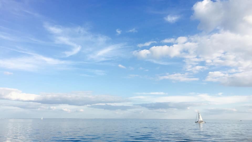 North Shore Park in downtown St Pete - today we saw a dolphin and in the past we have seen manatees as well - various events and concerts throughout the year/exercise paths/tennis courts/swimming complex/beach/kids playground and this beautiful view means there is something for everyone to enjoy here #endlesssummer #waterlust #AquaTrove
