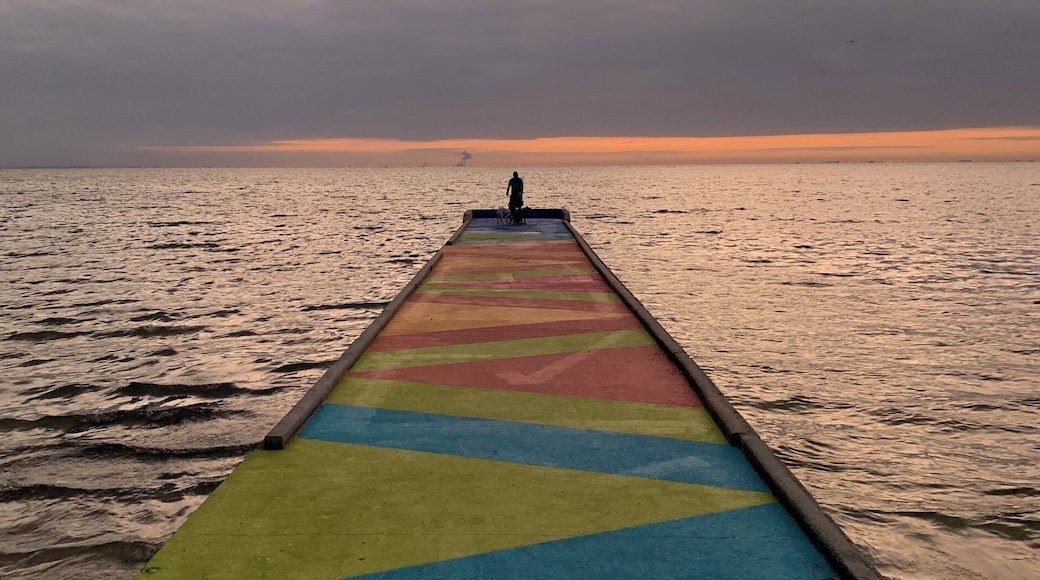 every year in St Pete they have the SHINE Festival where artists create new murals around the city... this amazing new addition at North Shore Pier is a beauty at sunrise