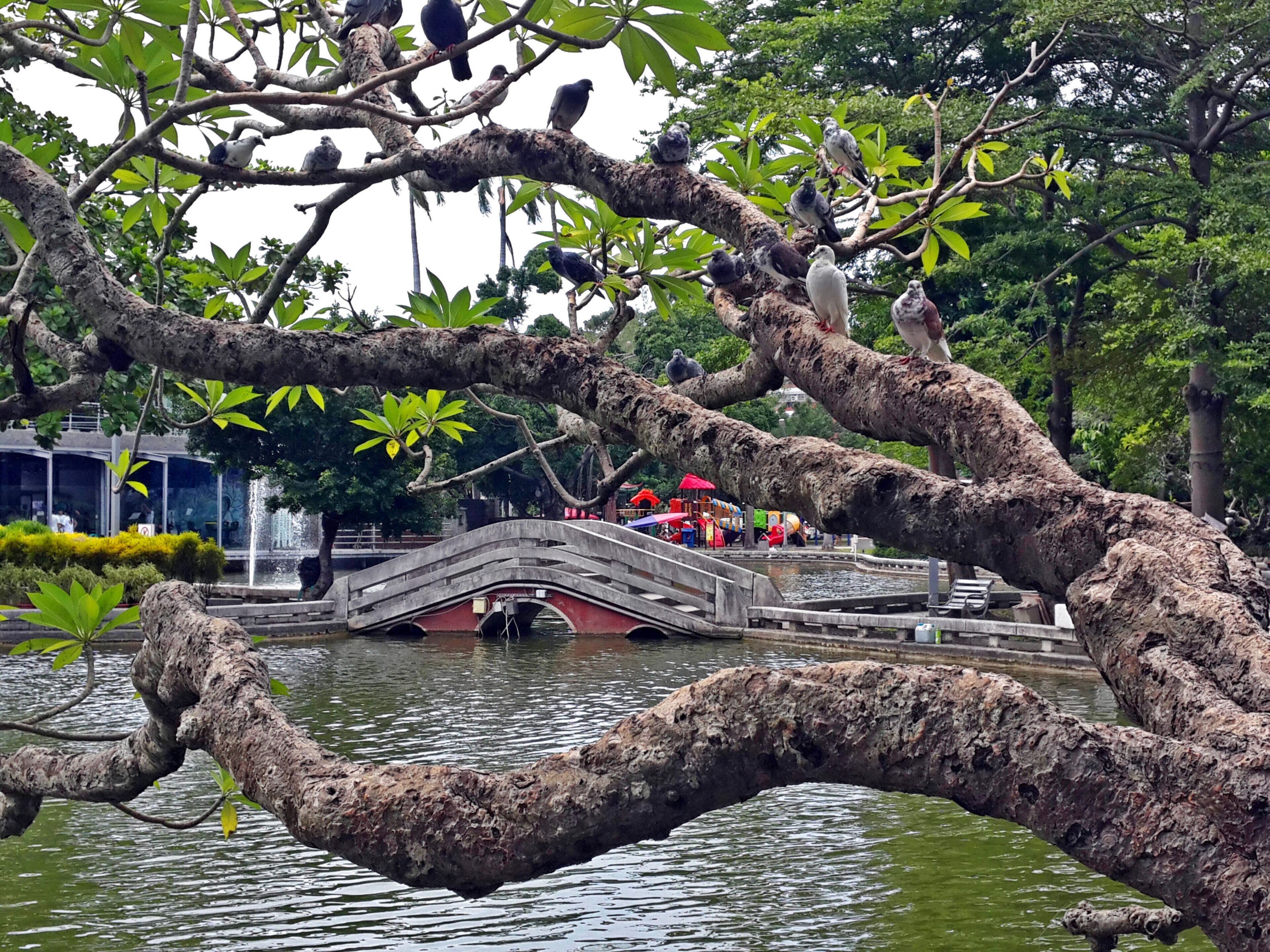 屏東観光ガイド～定番人気スポットを参考に自分にピッタリの観光プラン