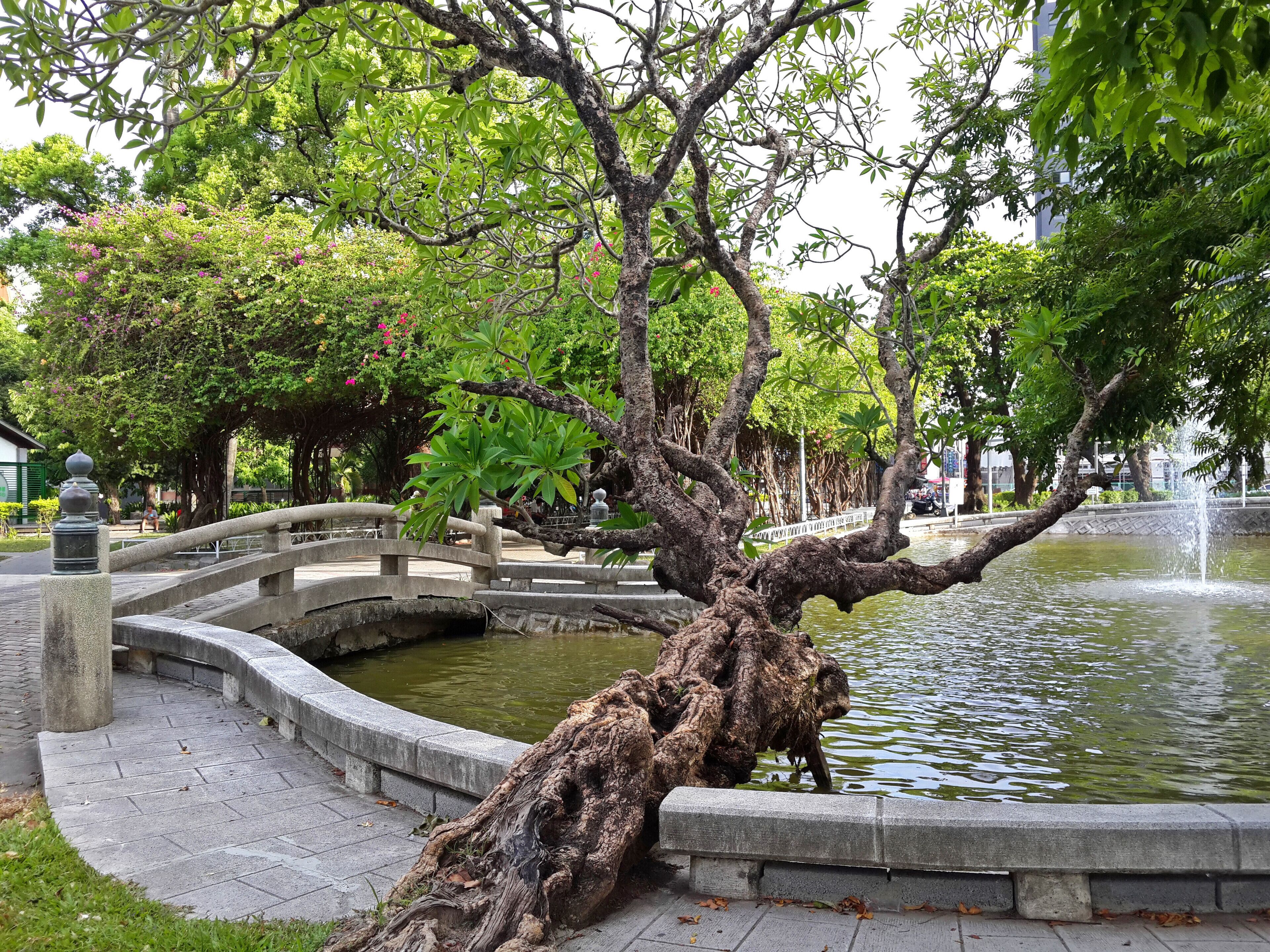 Built in 1915, Zhongshan Park（Pingtung Park）is located at the crossroads of Zhonghua Road and Park Road. The park has tourist resources and historical sites. Bridges and ponds remain the same, all of which have historical value.
