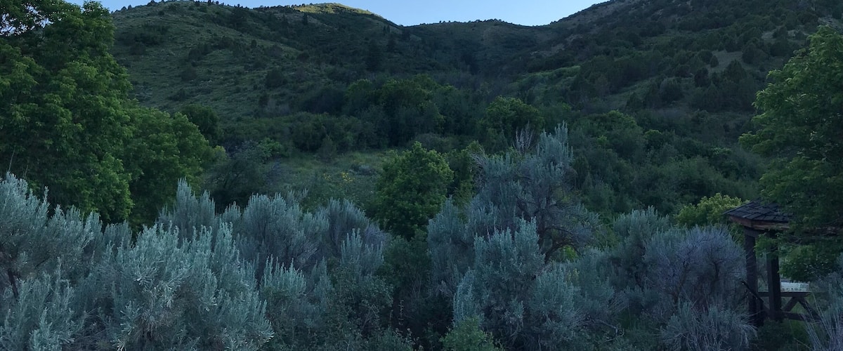 Beautiful views in the Caribou National Forest . This trail is paved and family friendly. Lost of beautiful flowers and opportunities to see wildlife. Bring bug spray if going in the evening.