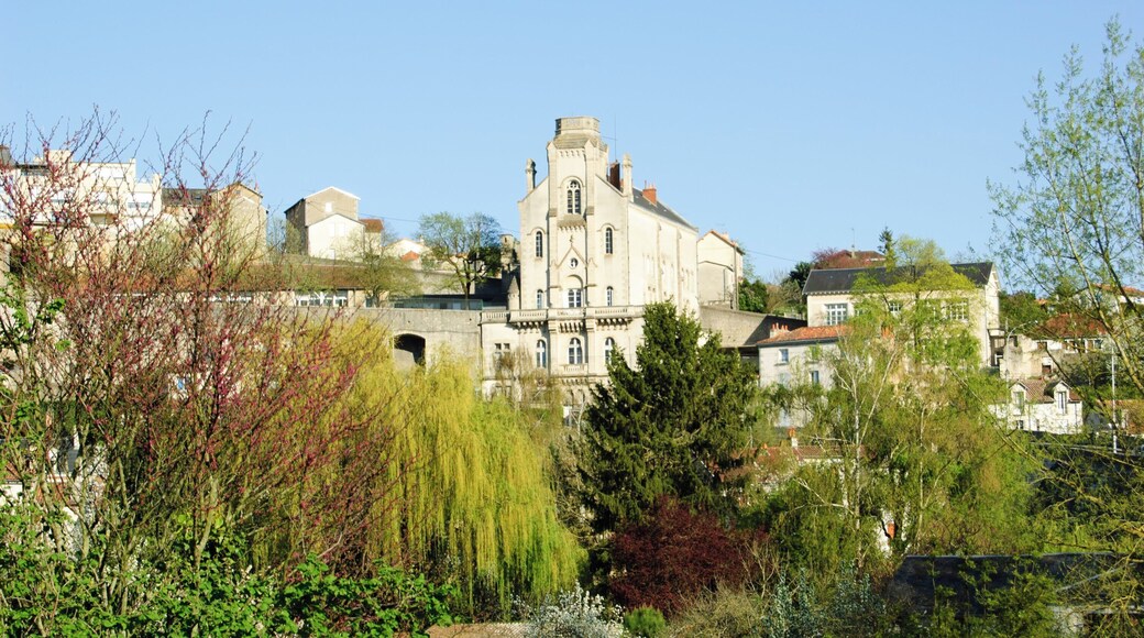 Elementary school Coligny Cornet in Poitiers #TroveOnTuesday