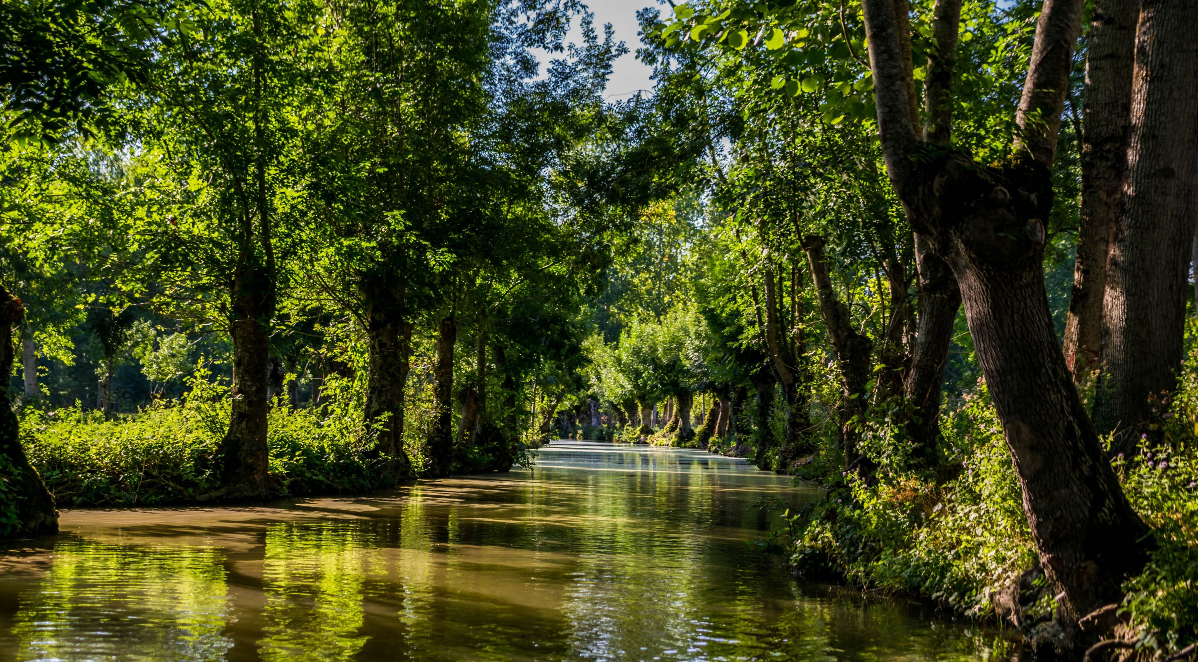 Marais Poitevin, Charente-Maritime, France.