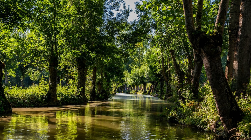 Marais Poitevin, Charente-Maritime, France.
