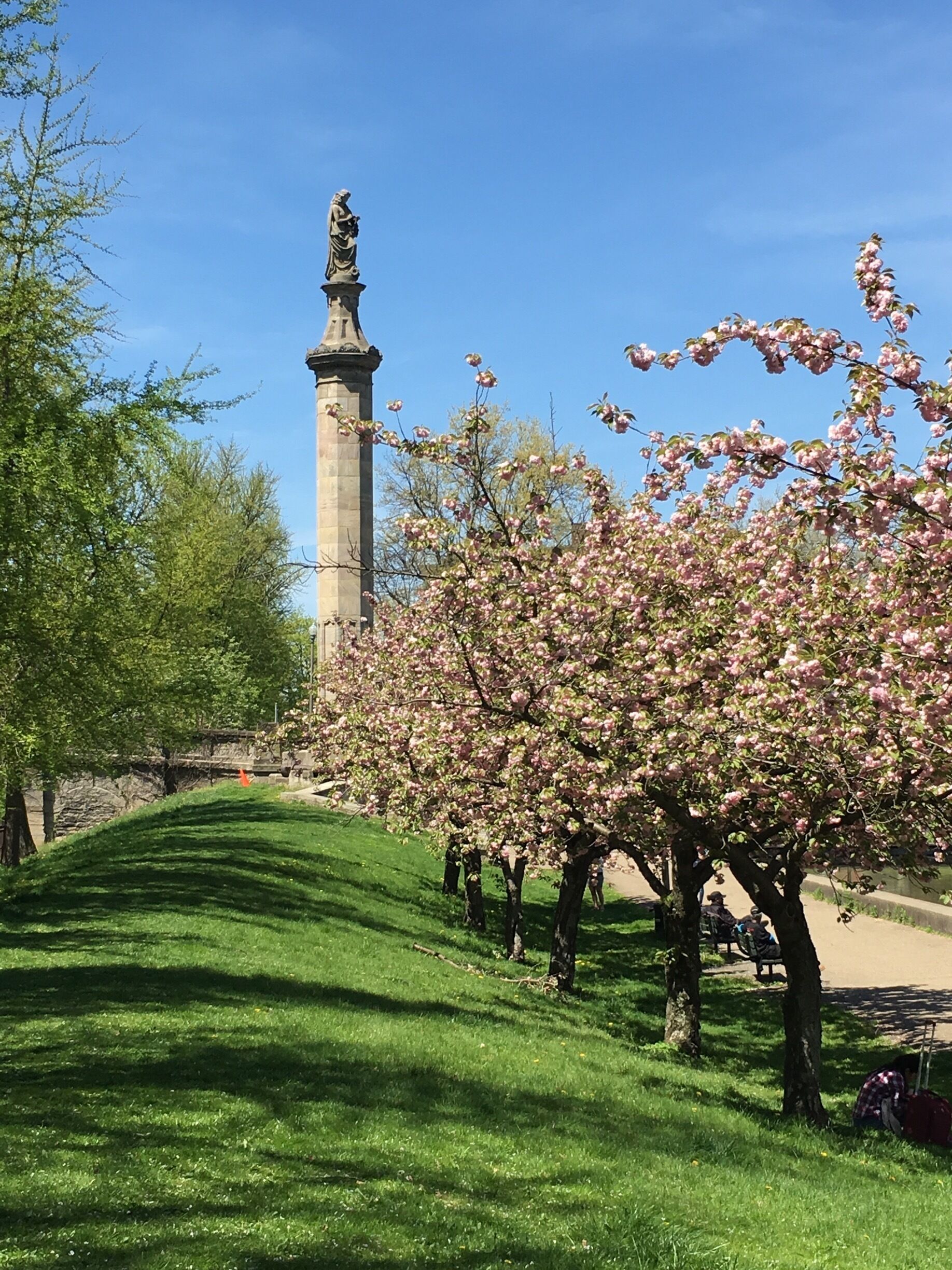 Everything is #inbloom in #Pittsburgh! #springfun