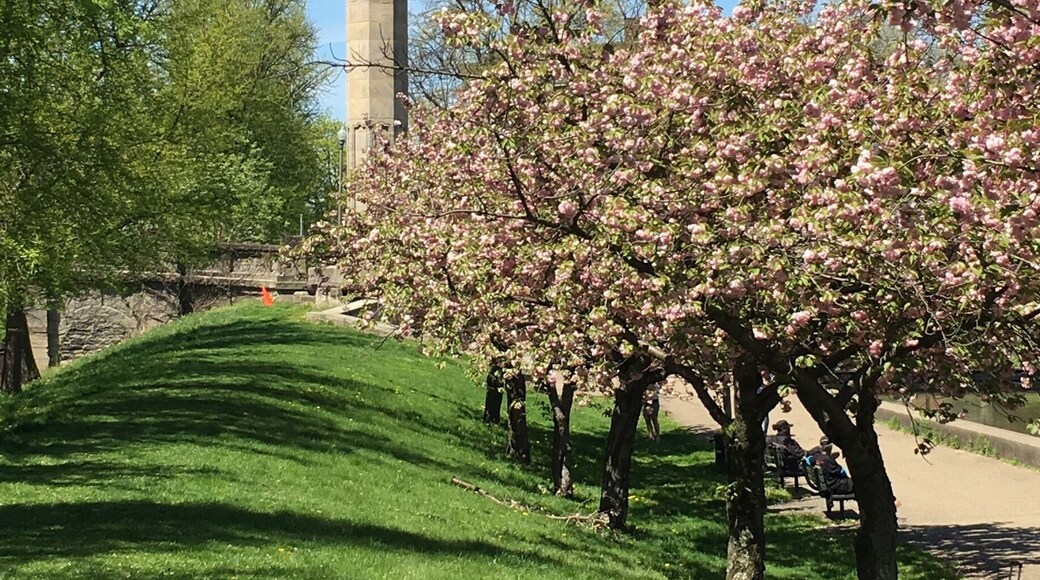 Everything is #inbloom in #Pittsburgh! #springfun
