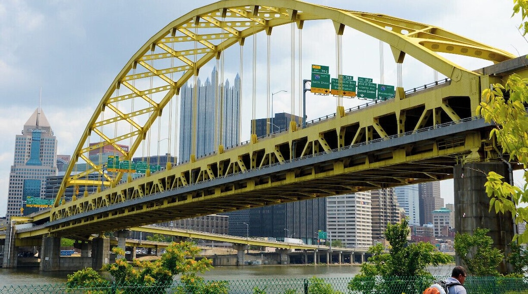 Mini Takes the States Road Rally Cleveland to Buffalo leg:
Fort Pitt Bridge is a steel, double decker bowstring arch bridge. It spans the Monongahela River near the confluence of the the Allegheny Rive. This bridge has the distinction of being the world's first computer designed bowstring arch bridge... Impressed ?
The bridge is also infamous for its difficult lane changes and I can personally attest to this... especially the lower level where you have to jump two lanes in about 300 feet. Horn... Accelerator !
#MTTS #minitakesthestates