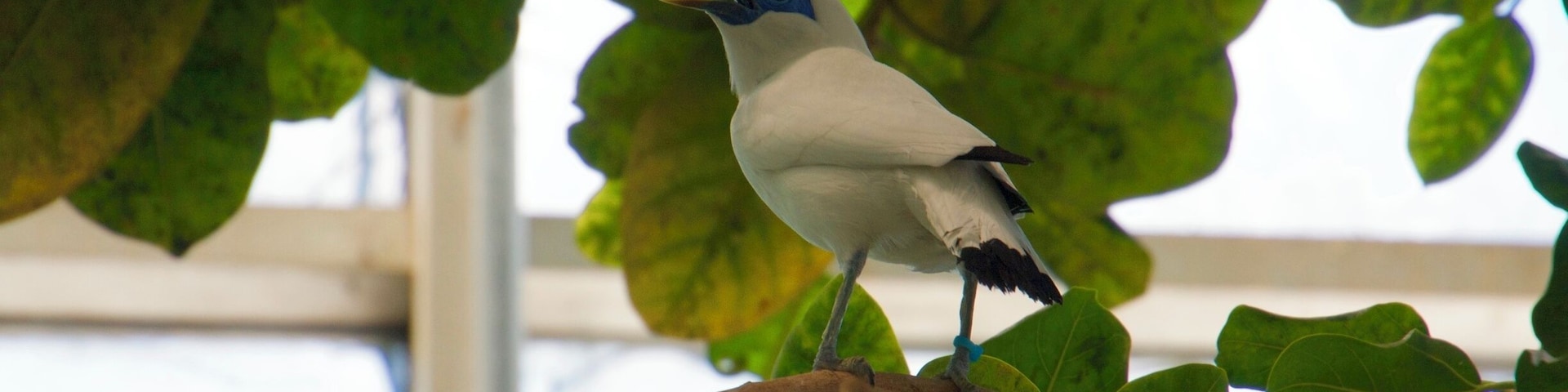 More from the National Aviary in Pittsburg. Such an amazing place.