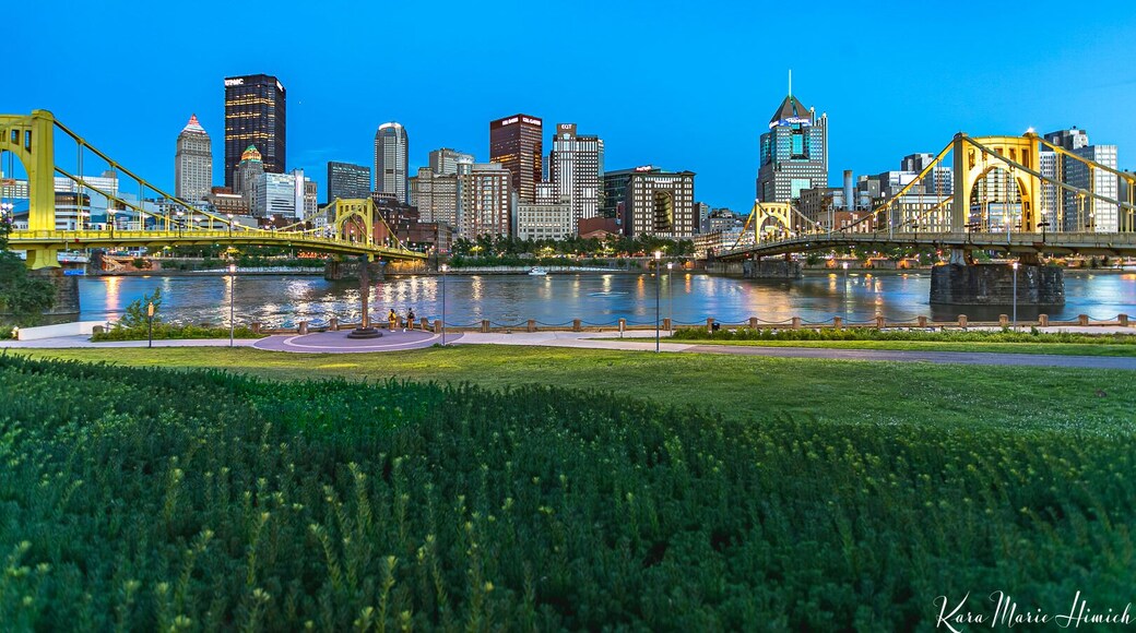 Pittsburgh City Views
#pittsburgh #northshore #alleghenyriver #northshore