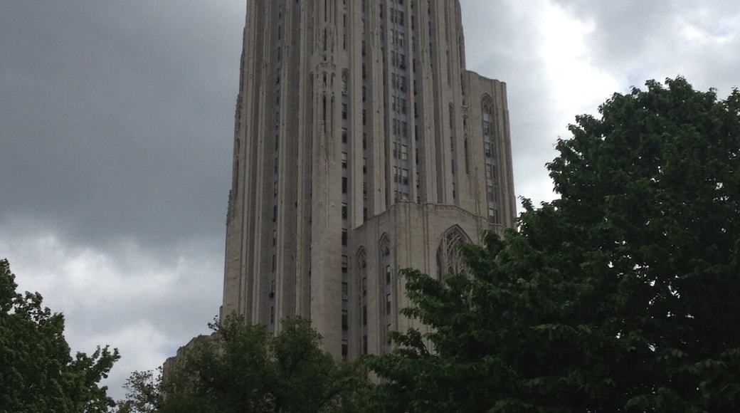 This is an amazing place to visit. Definitely go there and see the International Rooms, which are also classrooms. The 3rd floor rooms are free.