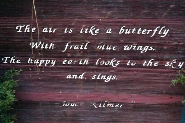 There are signs like this throughout the playground in regent square