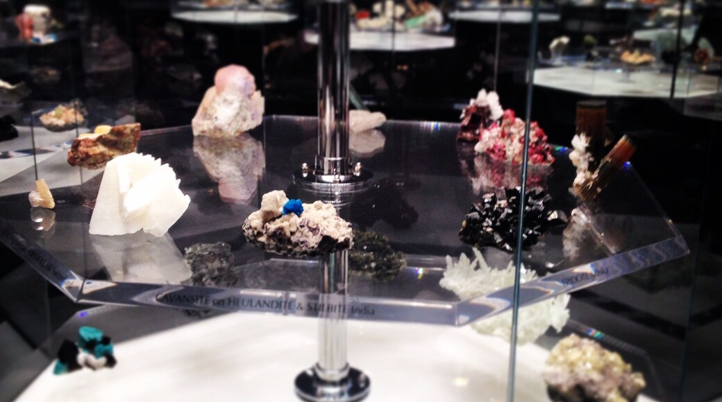 I love being a tourist in my own town! My favorite part of the Carnegie Museum of Natural History is definitely the Gem Room