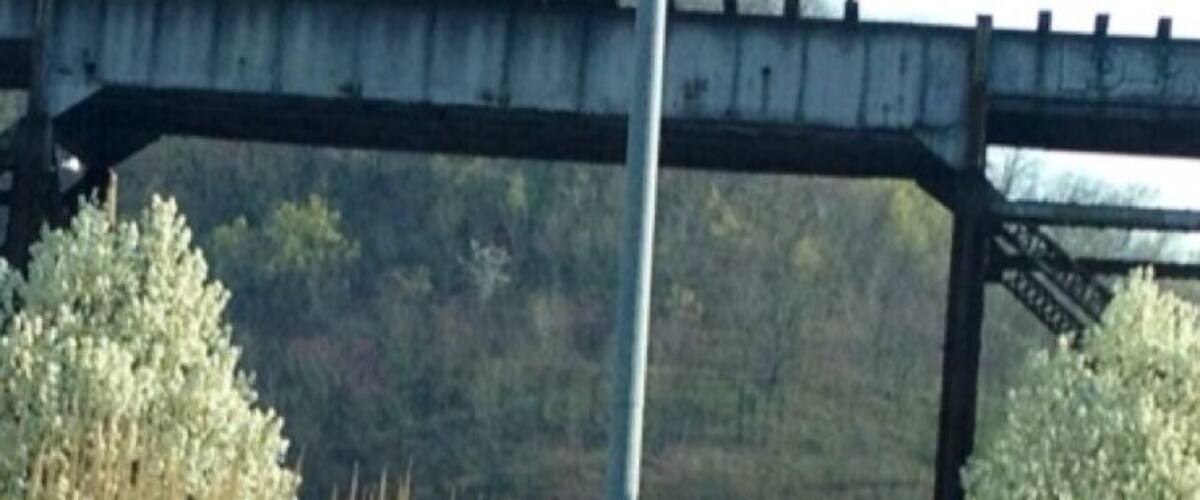 Beautiful spring blossoms on the Parkway West near the south portal of the Fort Pitt Tunnel.