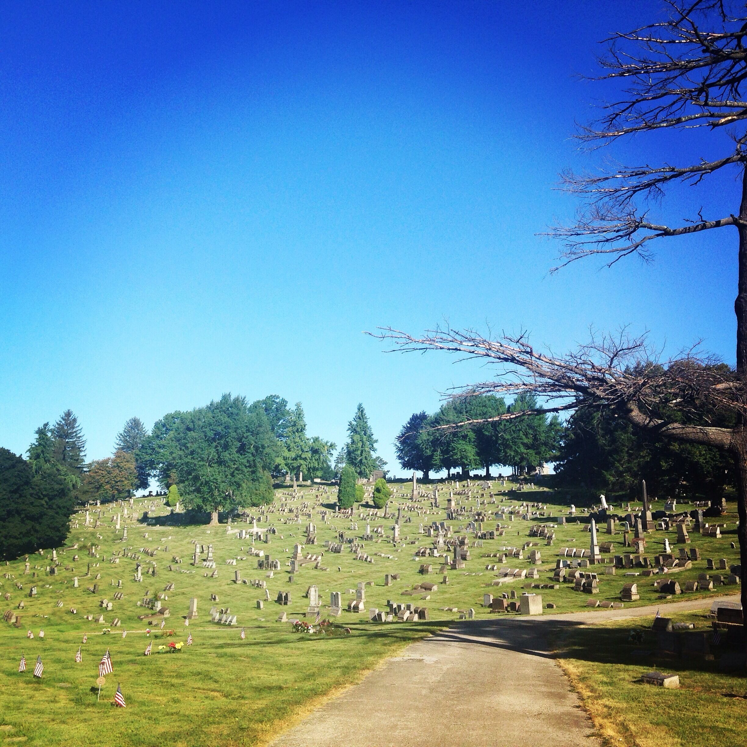 Most beautiful spot in urban Carrick. Lovely walking paths. So peaceful, beautiful and #colorful .