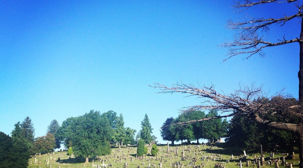 Most beautiful spot in urban Carrick. Lovely walking paths. So peaceful, beautiful and #colorful .