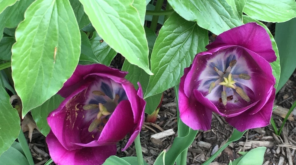 Spring has sprung! #springfun