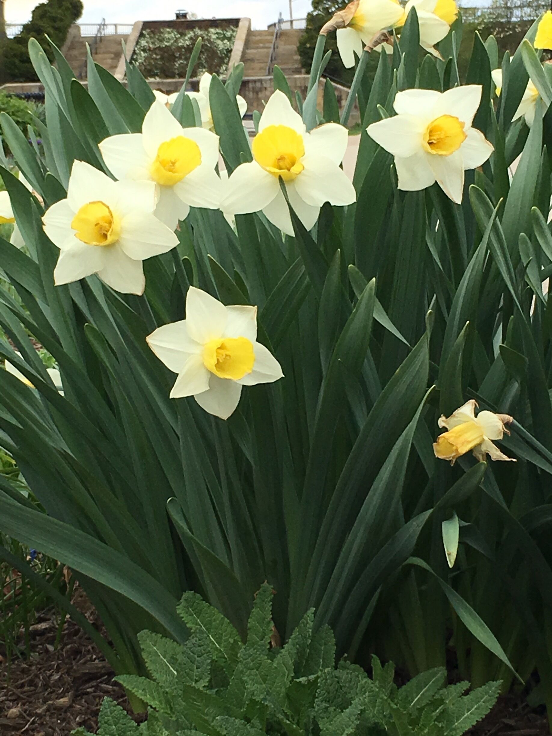 Spring has sprung! #springfun