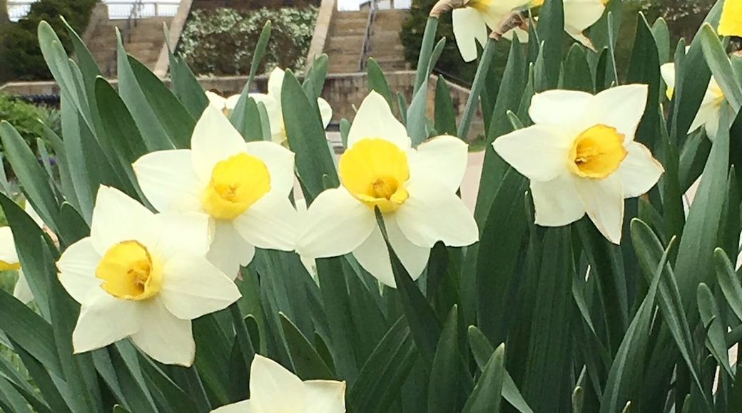 Spring has sprung! #springfun