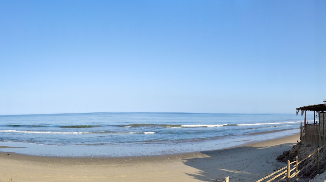 Beautiful beach at Mancora Peru